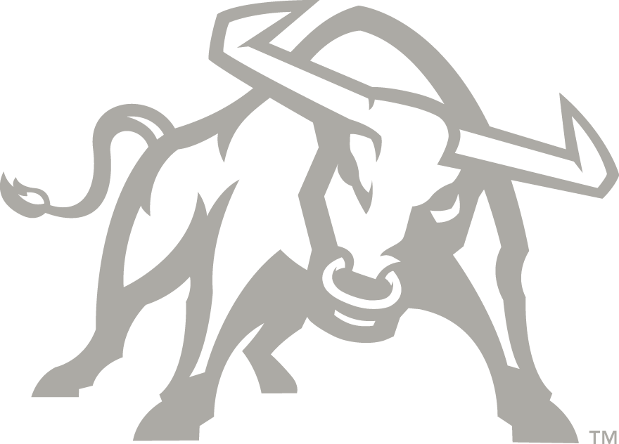 Utah State Aggies 2012-Pres Alternate Logo t shirts DIY iron ons v4
